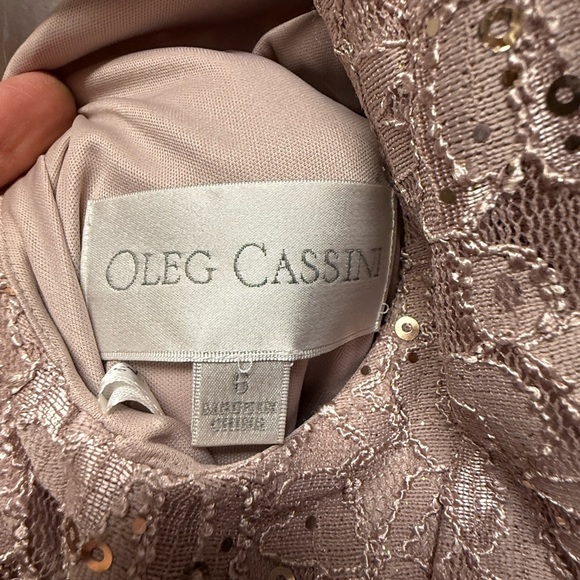 Oleg Cassini Sequin Lace Dress in Blush - Picture 3 of 3